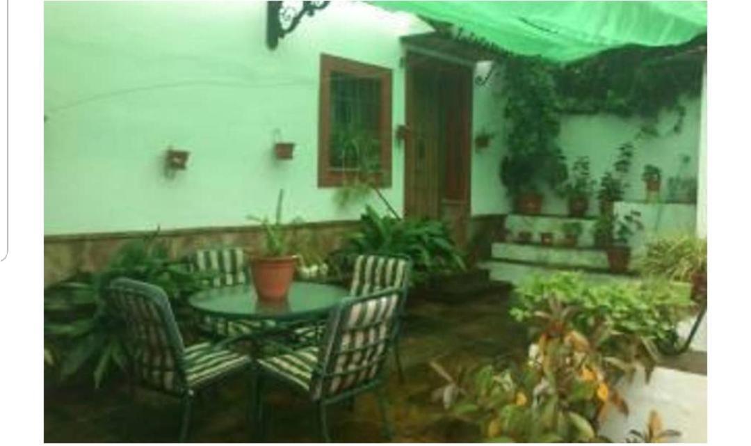 Apartamento En Cortijo Totalmente Reformado En Pleno Paraje Natural Junto Al Caminito Del Rey Y Los Sectores Mas Importantes De Escalada A Solo 2 Minutos De La Estacion De Tren Alora Eksteriør bilde